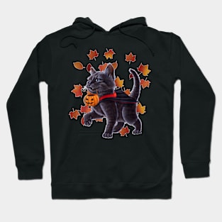 Cat In A Vampire Costume Holding A Pumpkin. Halloween Kitten Hoodie